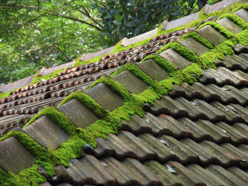 Démoussage de toiture dans le Val-de-Marne