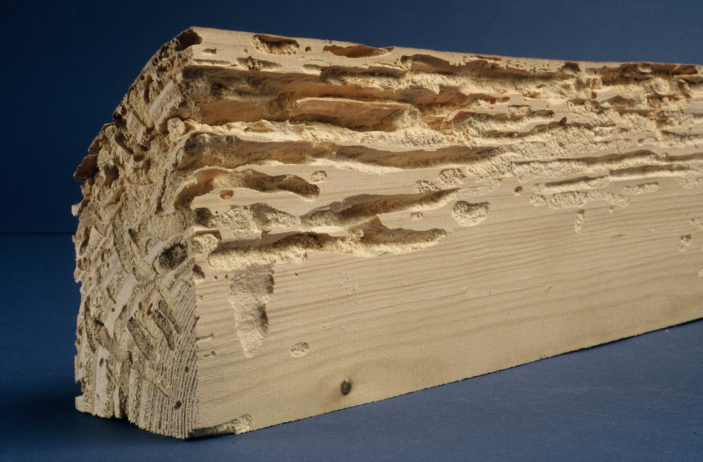 Traitement de charpente, bois à Créteil